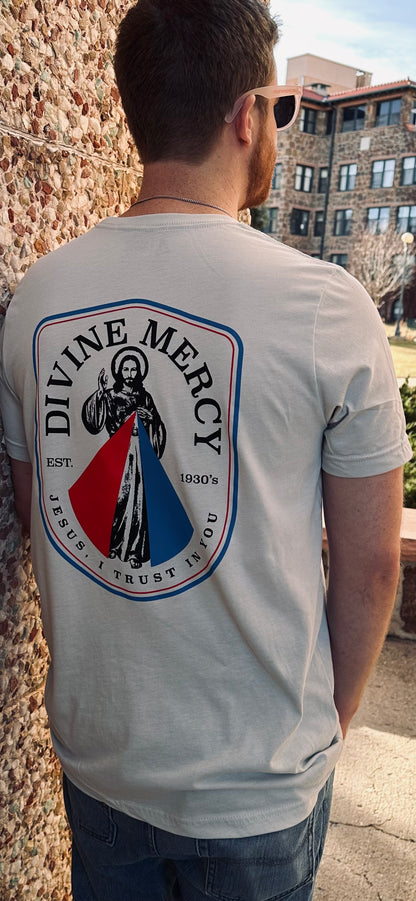A man viewed from behind wearing a light silver T-shirt with a large 'Divine Mercy' graphic on the back, standing outdoors next to a stone wall. Catholic Clothing.